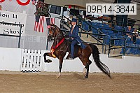 09r14-3844 proof