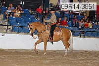 09r14-3851 proof