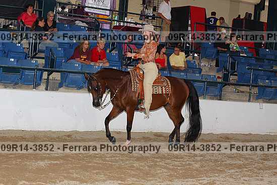 Proof 09r14-3852