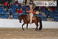 09r14-3852 proof
