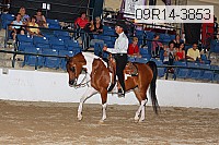 09r14-3853 proof