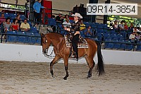 09r14-3854 proof