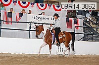 09r14-3862 proof