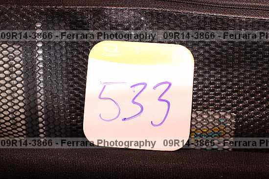 Proof 09r14-3866