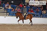 09r14-3867 proof