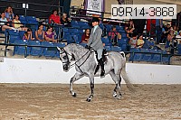 09r14-3868 proof