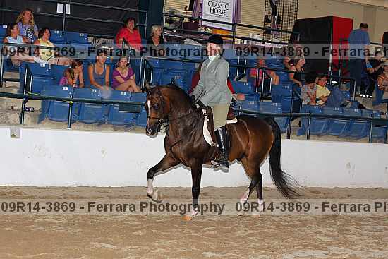 Proof 09r14-3869