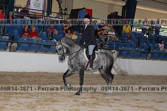 Proof 09r14-3871