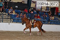 09r14-3872 proof