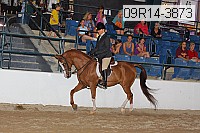 09r14-3873 proof