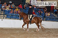 09r14-3874 proof