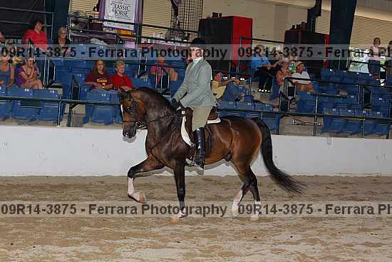 Proof 09r14-3875