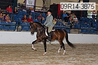 09r14-3875 proof