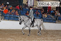 09r14-3876 proof