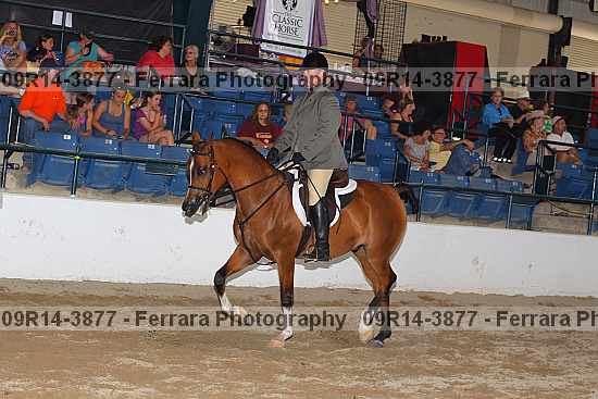 Proof 09r14-3877