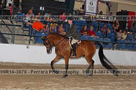 Proof 09r14-3878