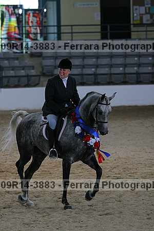 Proof 09r14-3883