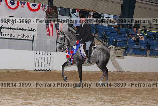 Proof 09r14-3899