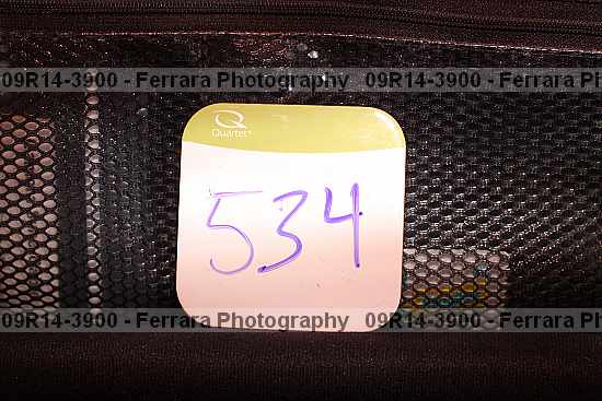 Proof 09r14-3900