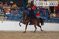 09r14-3903 proof
