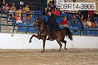 09r14-3906 proof