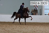 09r14-3909 proof