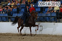09r14-3910 proof