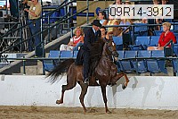 09r14-3912 proof