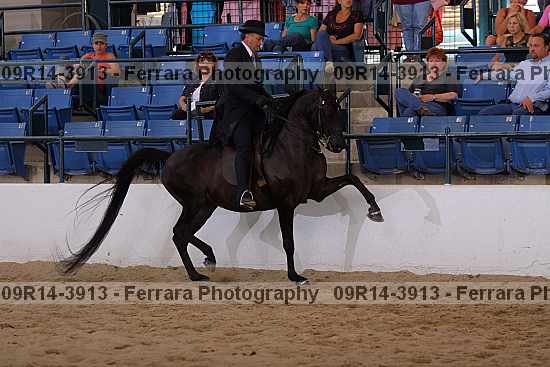 Proof 09r14-3913