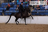 09r14-3913 proof