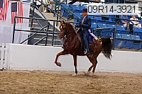 09r14-3921 proof