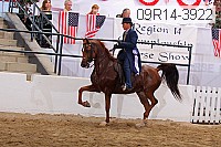 09r14-3922 proof