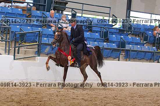 Proof 09r14-3923