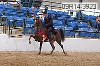 09r14-3923 proof