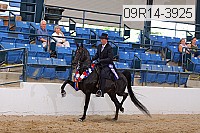 09r14-3925 proof