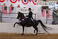 09r14-3927 proof