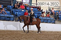 09r14-3932 proof