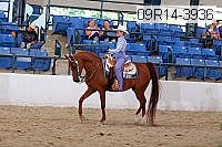 09r14-3936 proof