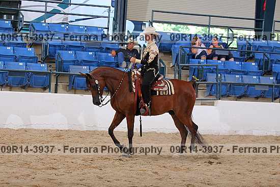 Proof 09r14-3937