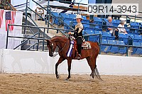 09r14-3943 proof