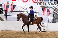 09r14-3948 proof