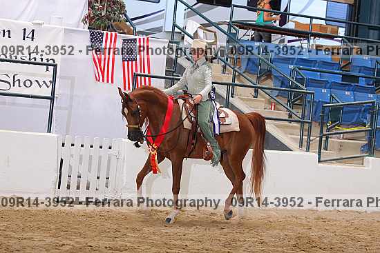 Proof 09r14-3952