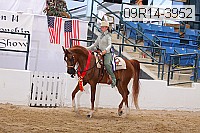 09r14-3952 proof