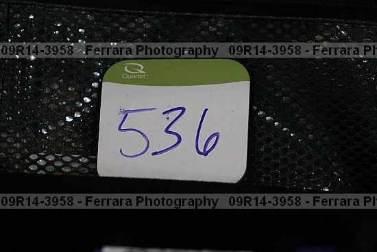 Proof 09r14-3958