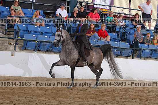 Proof 09r14-3963