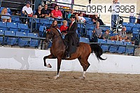 09r14-3968 proof