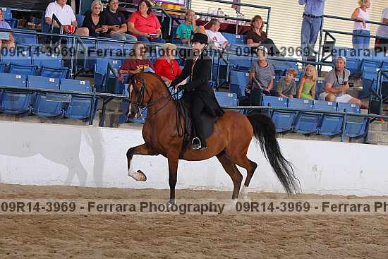 Proof 09r14-3969