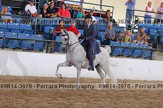 Proof 09r14-3970