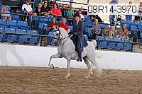 09r14-3970 proof