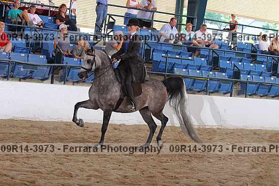 Proof 09r14-3973